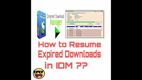 How to Resume Download of Broken Files in IDM